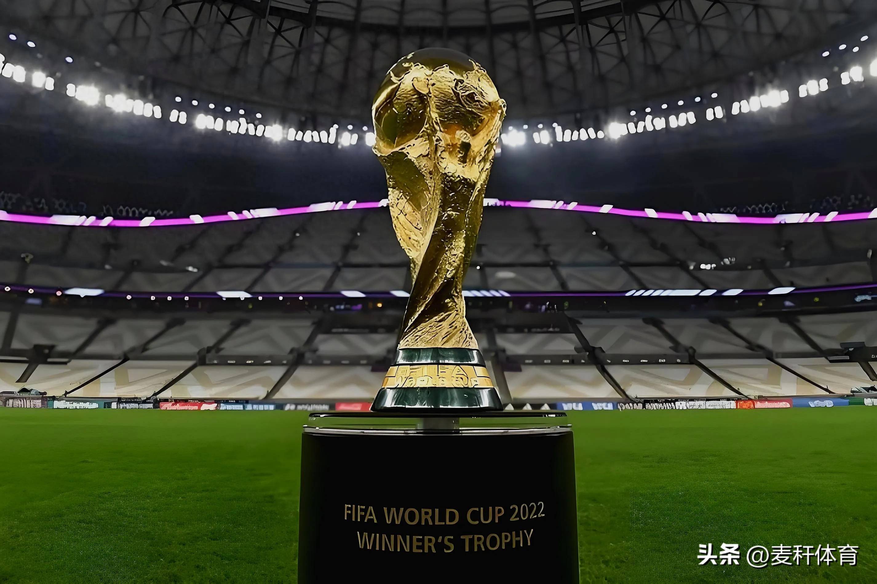 这足以看出 这足以看出